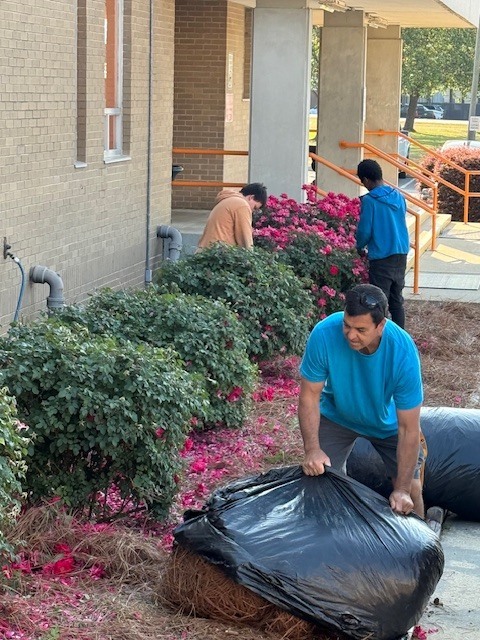 Several people work together outside the school, cleaning up landscaping by gathering leaves and debris into a large black trash bag near flowering bushes.