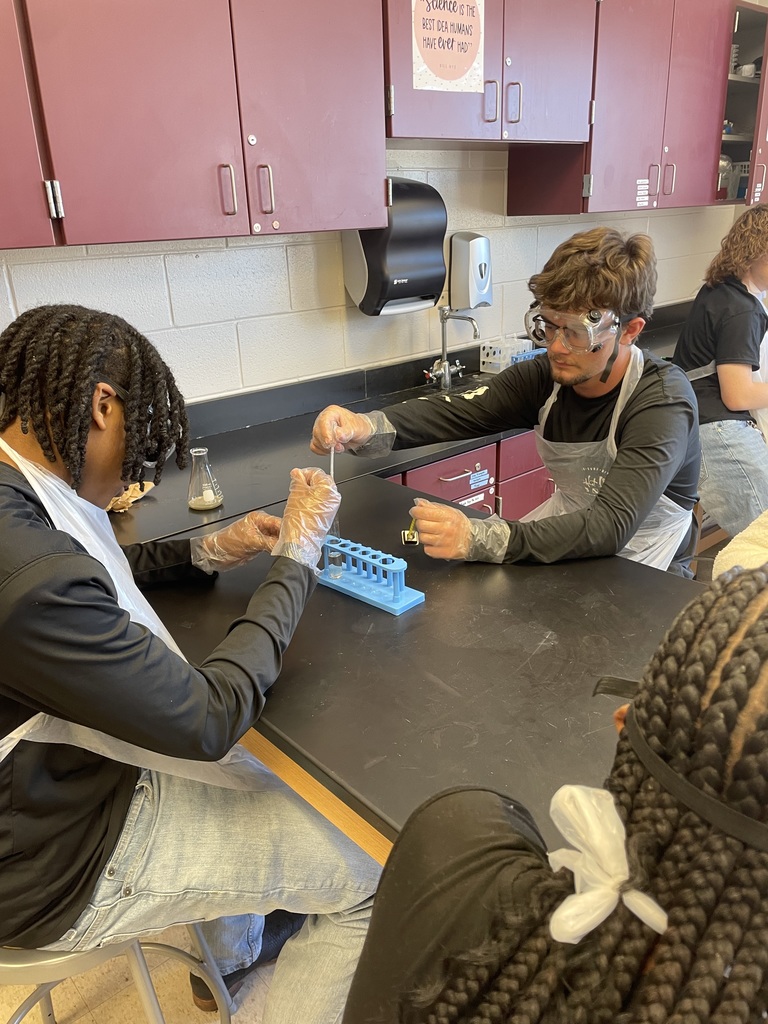 Honors Chemistry students at West Bladen High School wearing safety goggles and aprons work carefully with glassware and chemicals during the Tollens’ test silver mirror lab in a science classroom