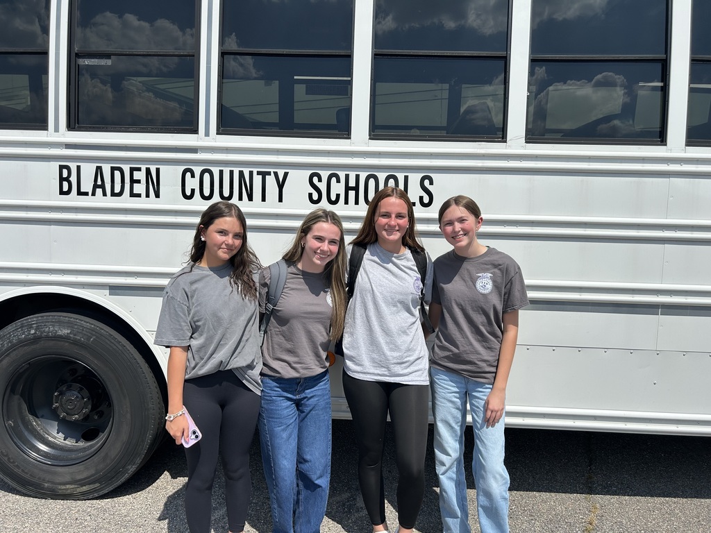 create ada compliant alt text for this image using no more than 200 characters 