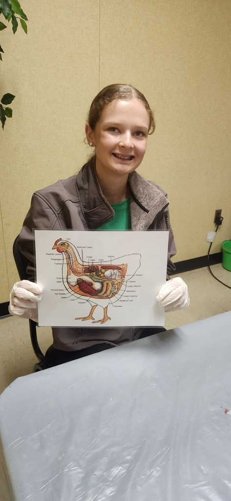 A smiling female student at West Bladen High School wearing a gray jacket over a green shirt, holding up a detailed anatomical diagram of a chicken. She is wearing white protective gloves, and the diagram shows the internal organs and digestive system of the bird.