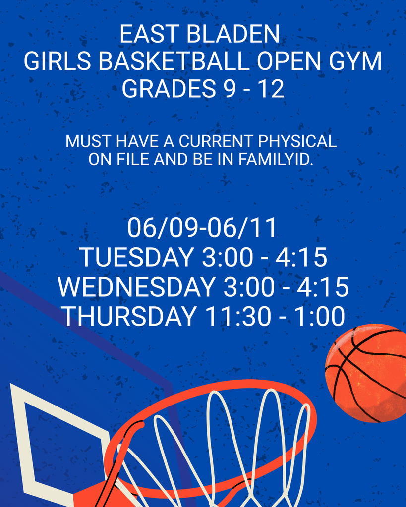 blue flyer with basketball goal and basketball at the bottom
