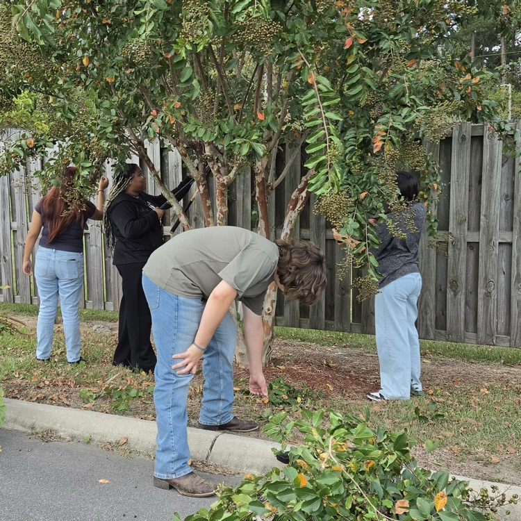 wants to be over picking up Leanne’s while three students helped to prune limbs on a tree that is beside a fence a student in Red holds a wheelbarrow while three other students help pick up and take down limbs