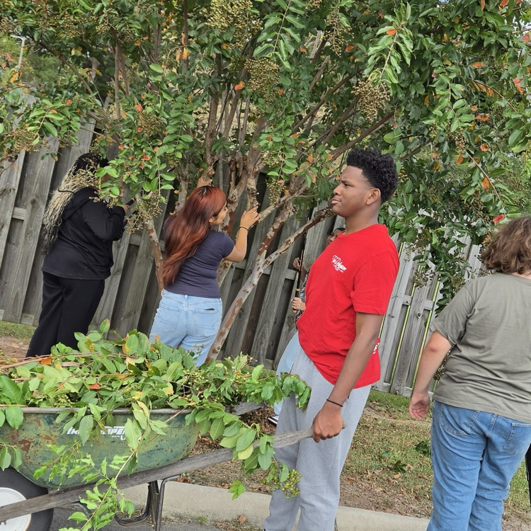 student in red shirt pushing wheelbarrow while three other students help pick up limbs and take limbs out of a tree