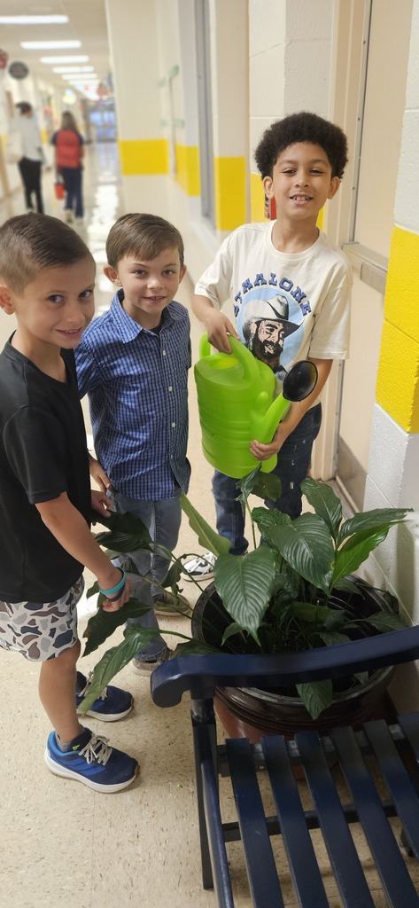 Students watering plants