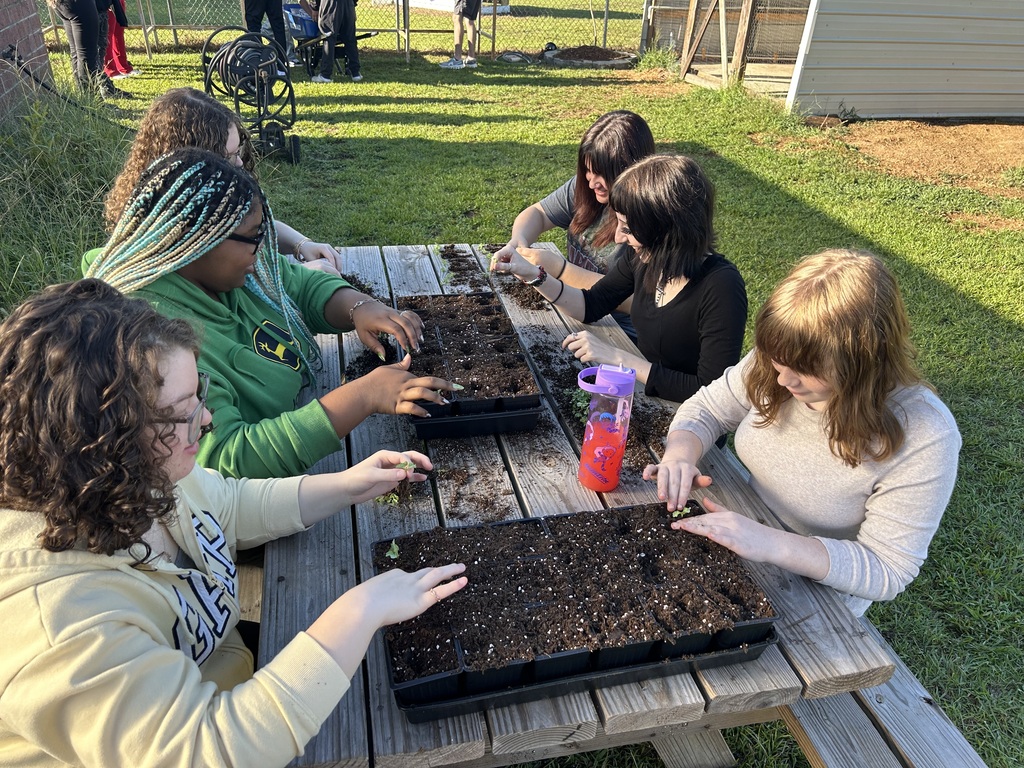 Students planting plants.