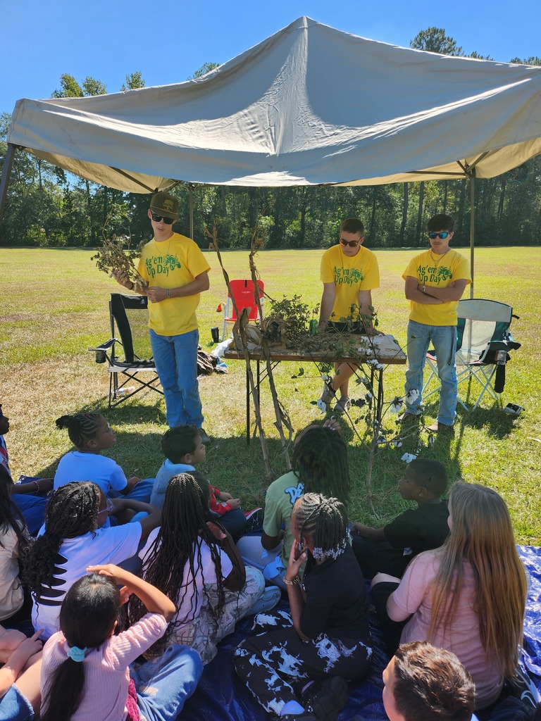 learning about crops in NC