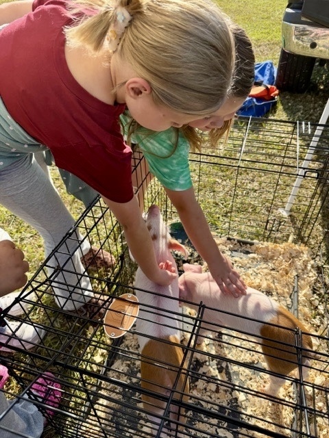 The piglets are always a favorite 