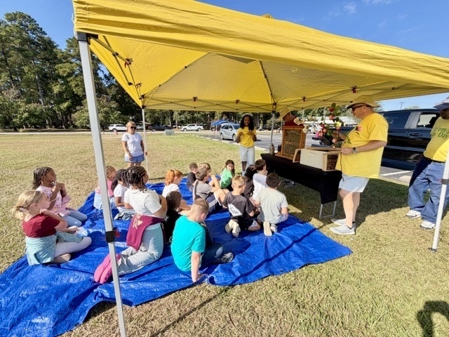 Learning about bees 