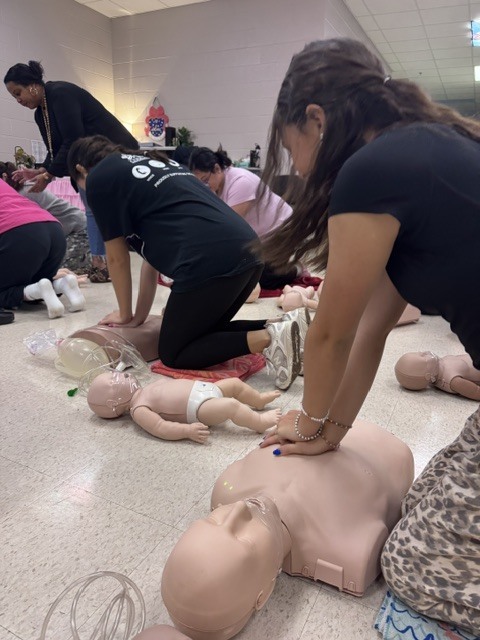 Students practicing infant CPR on training mannequins on a classroom floor during a health training session.