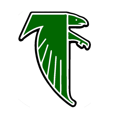 falcon logo