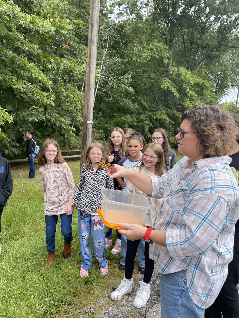 Aide Teaching Students in STEAM Butterfuly lesson