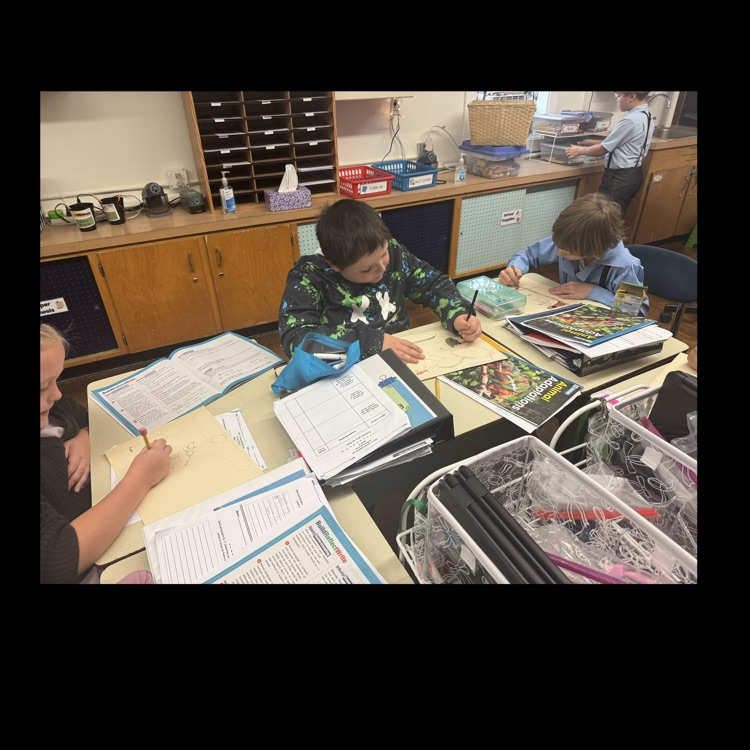 3rd grade English Language Arts lesson