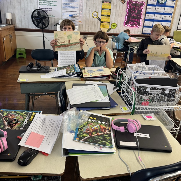 3rd grade English Language Arts lesson