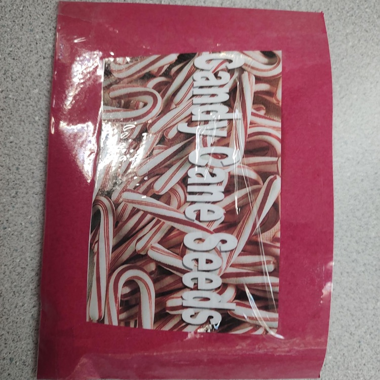 candy cane fun in preschool 