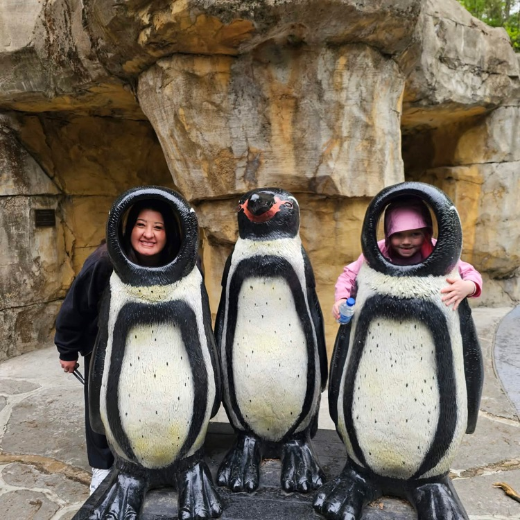 Kindergarten Field trip to Akron Zoo