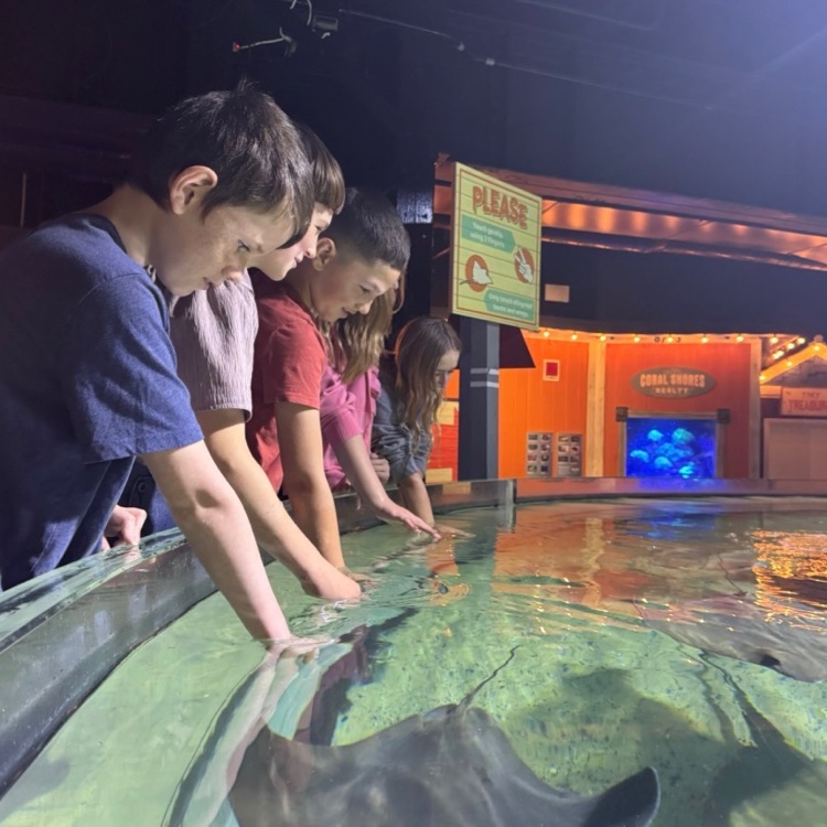 5th grade visiting the Aquarium 