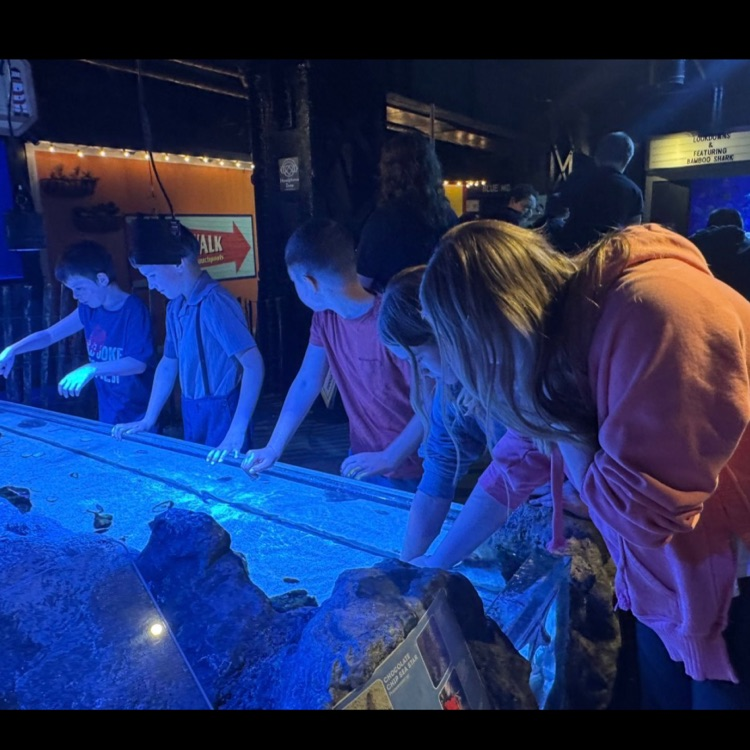 5th grade visiting the Aquarium 