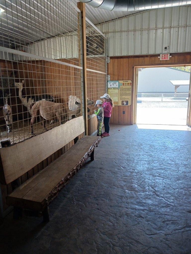 Preschool Field Trip to Keystone Safari