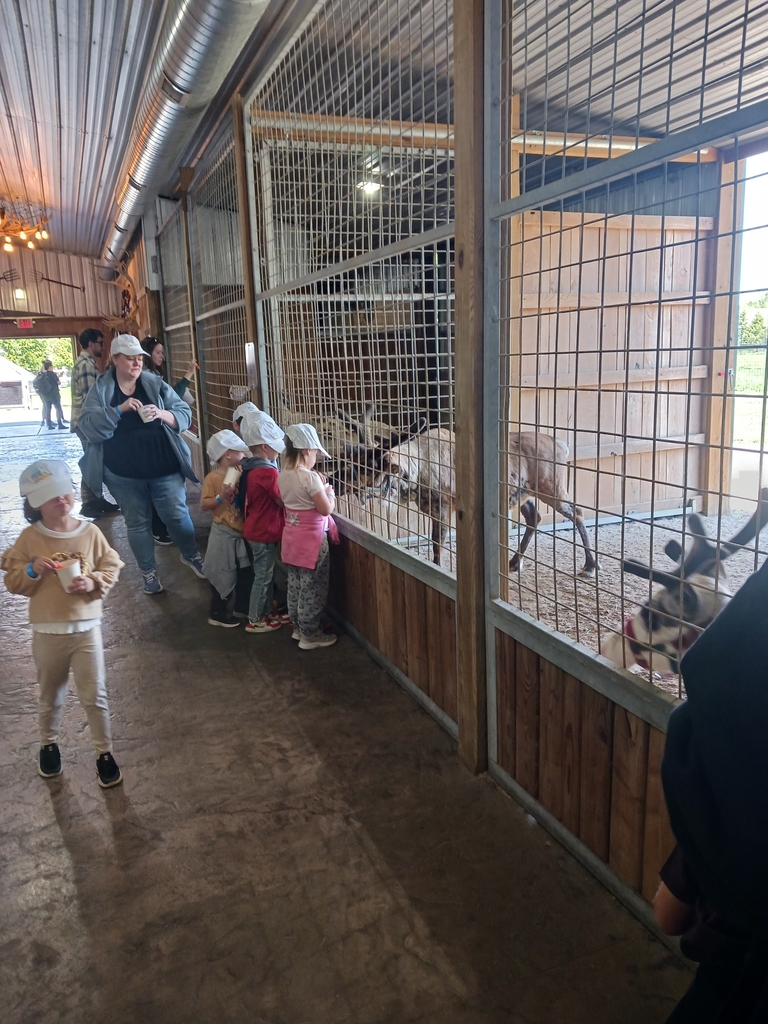 Preschool Field Trip to Keystone Safari