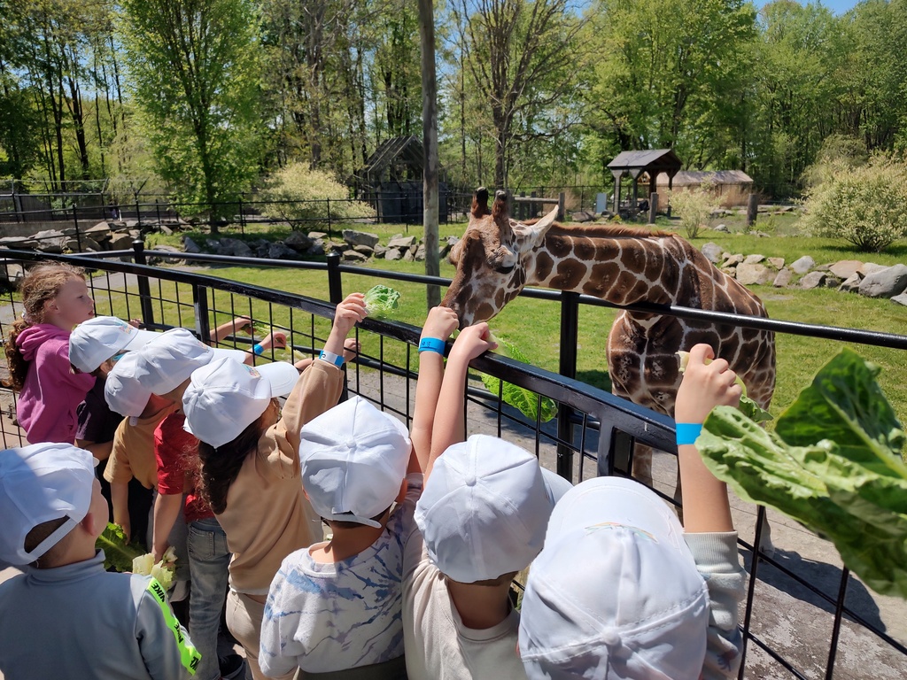 Preschool Field Trip to Keystone Safari