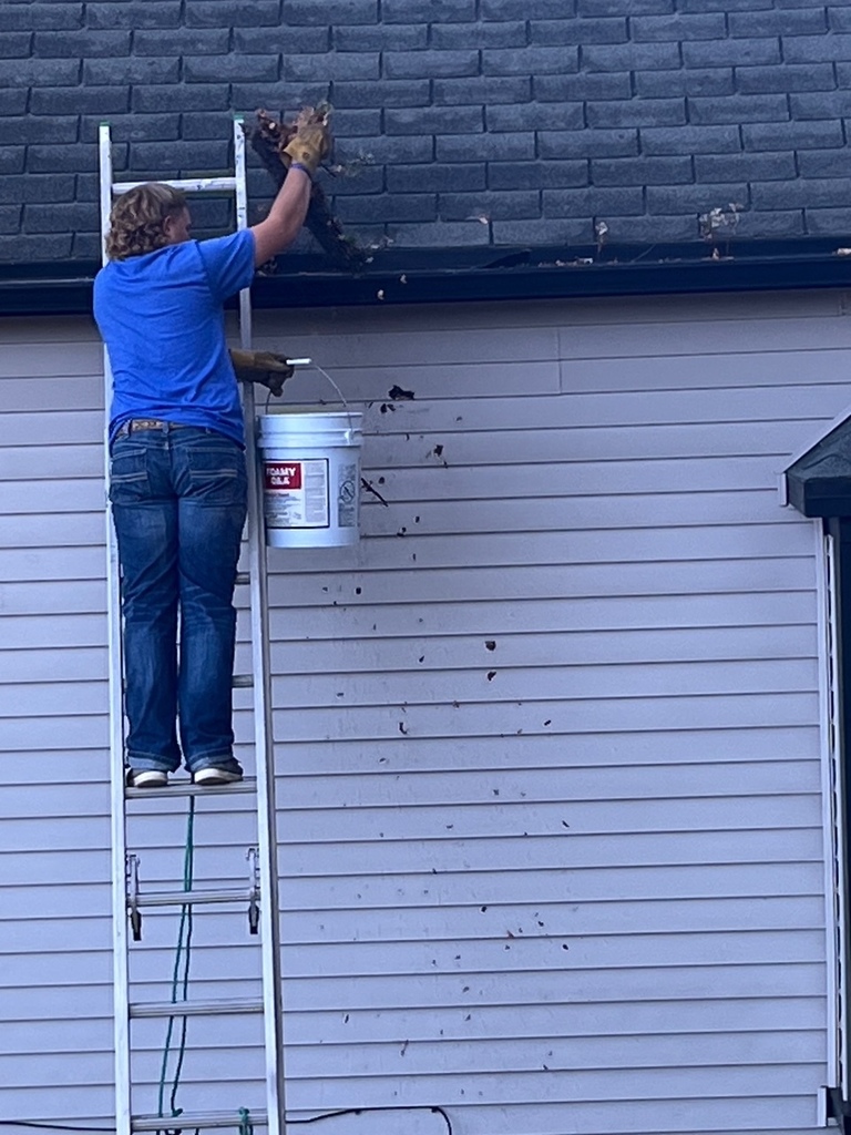 Cleaning leaves from gutters