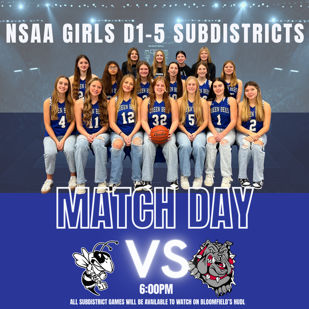 nsaa girls subdistricts game