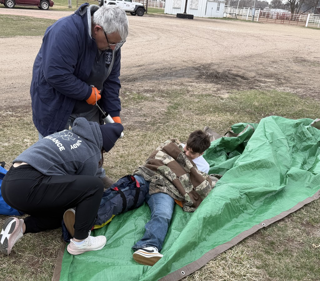 live traffic safety demonstration