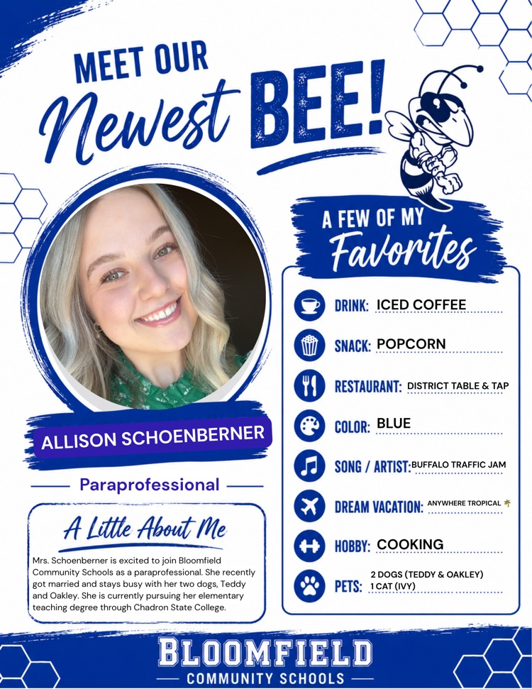 meet our newest bee Allison Schoenberner