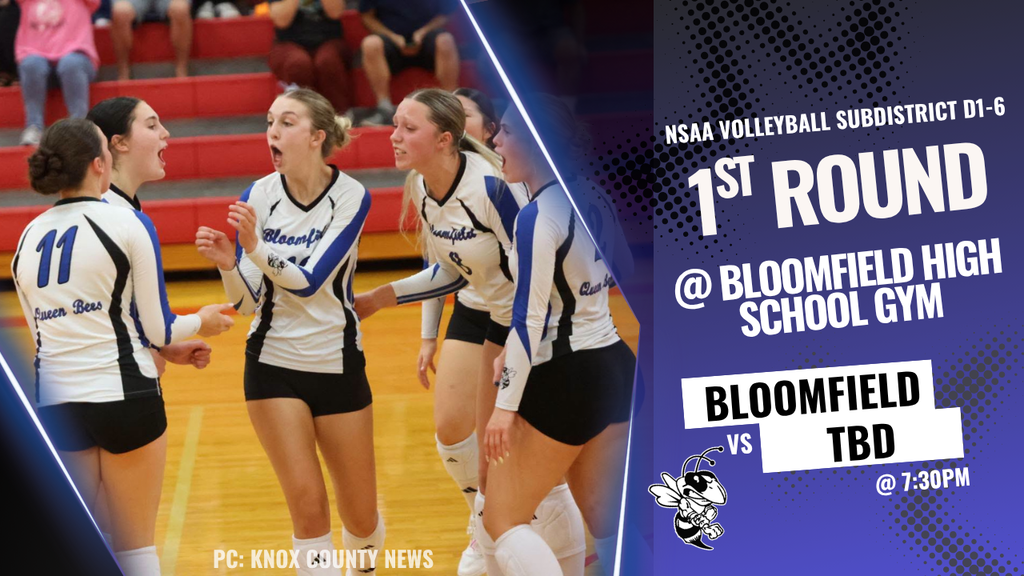 vball subdistricts