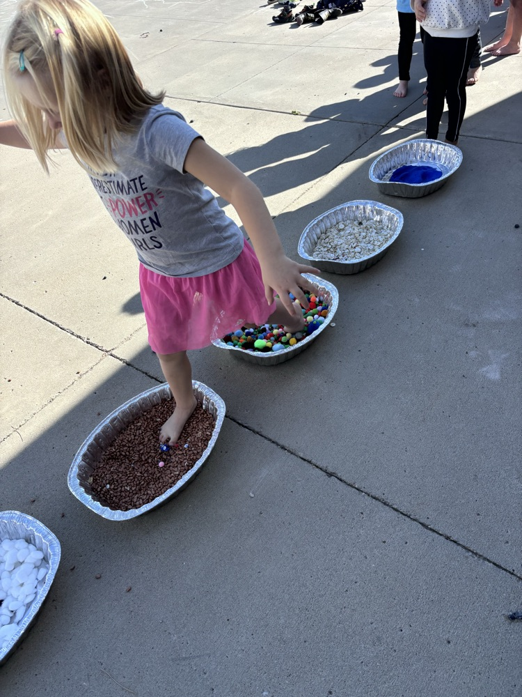 5 senses activity 