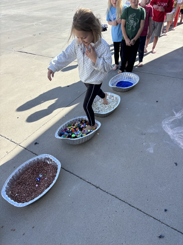 5 senses activity 