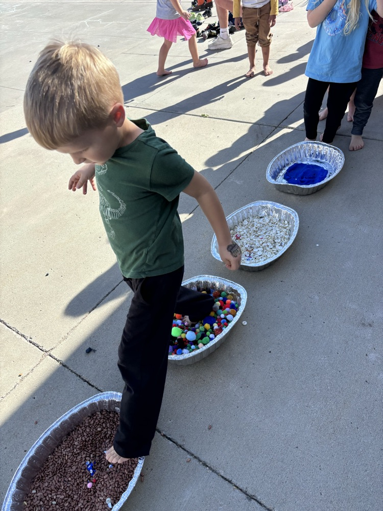 5 senses activity 