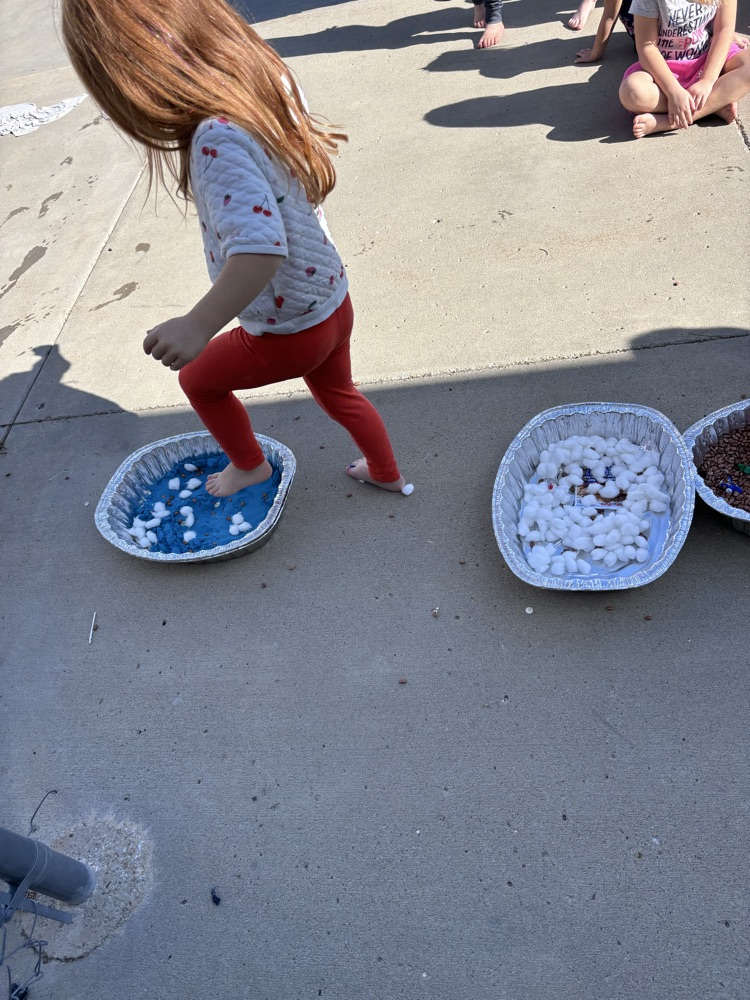 5 senses activity 