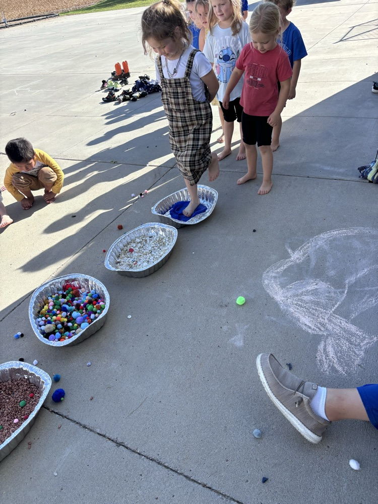 5 senses activity 