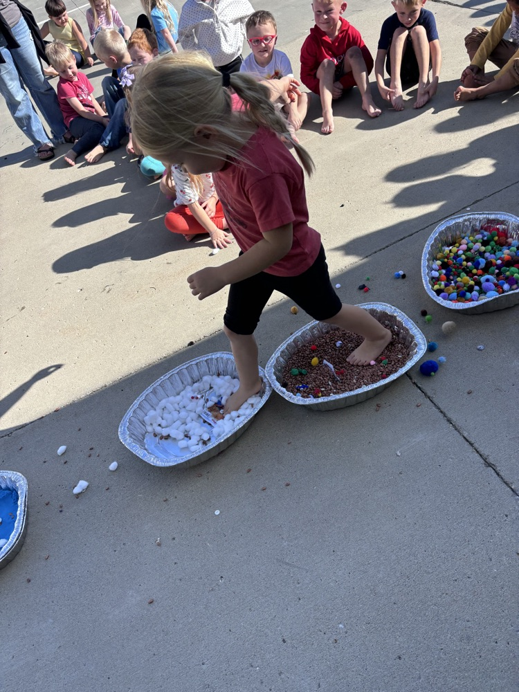 5 senses activity 