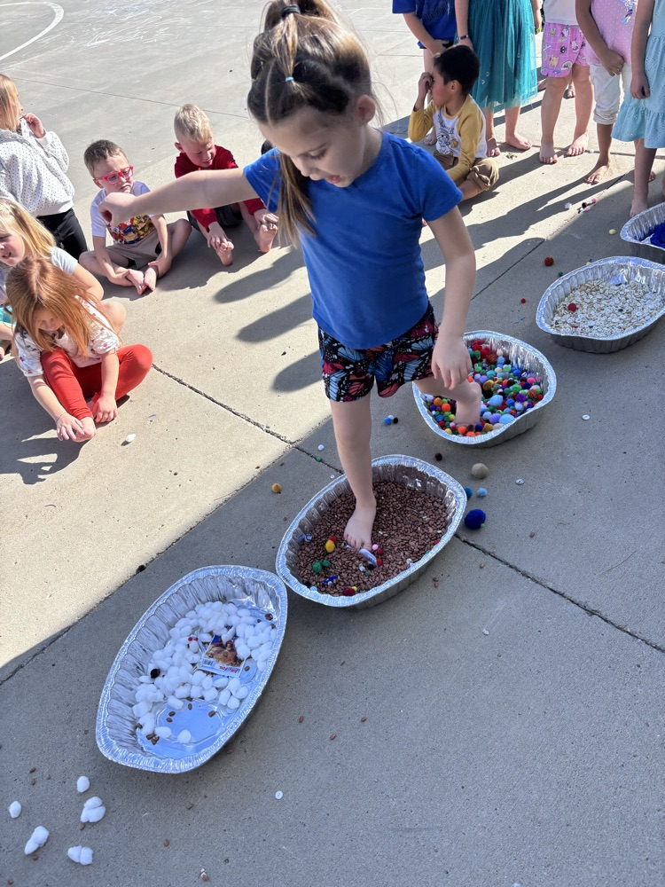 5 senses activity 