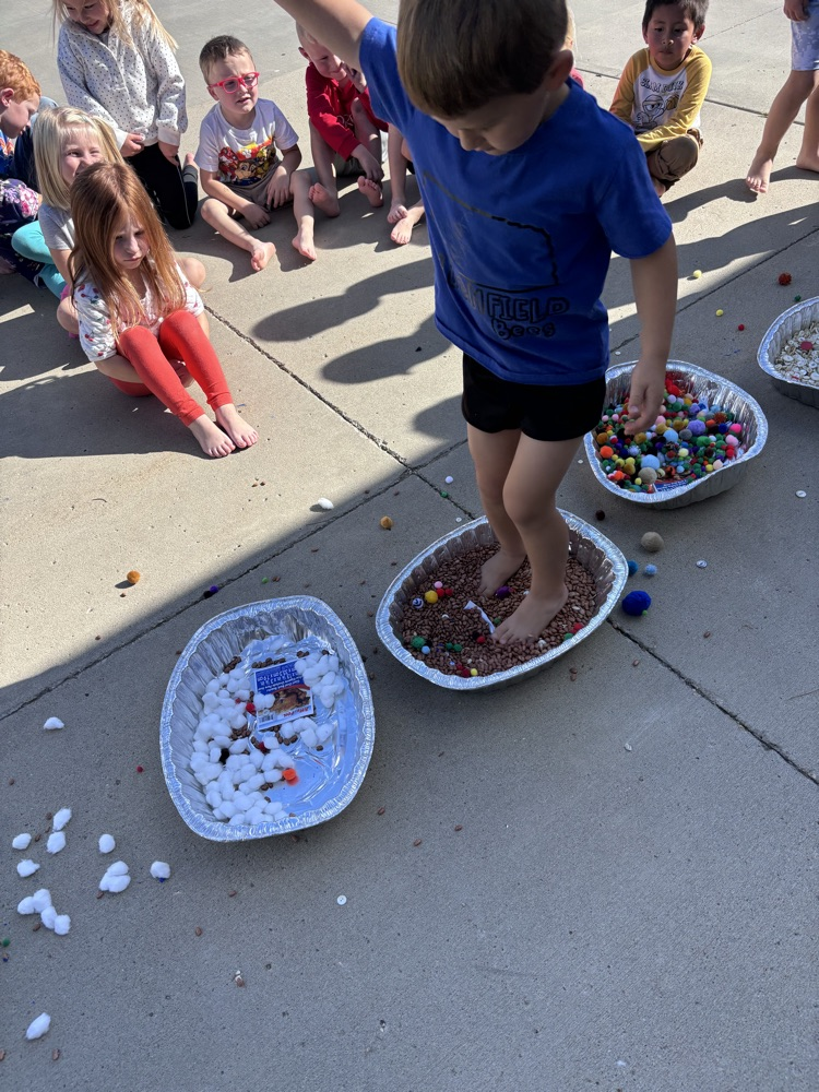 5 senses activity 