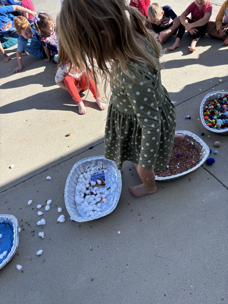 5 senses activity 