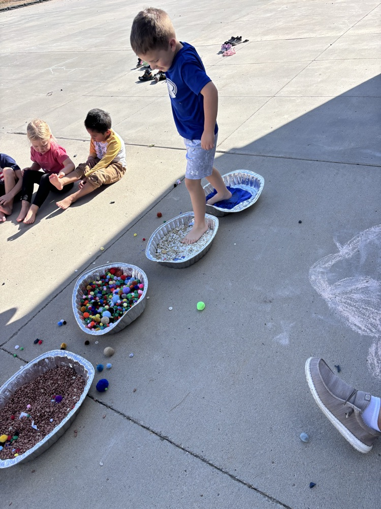 5 senses activity 