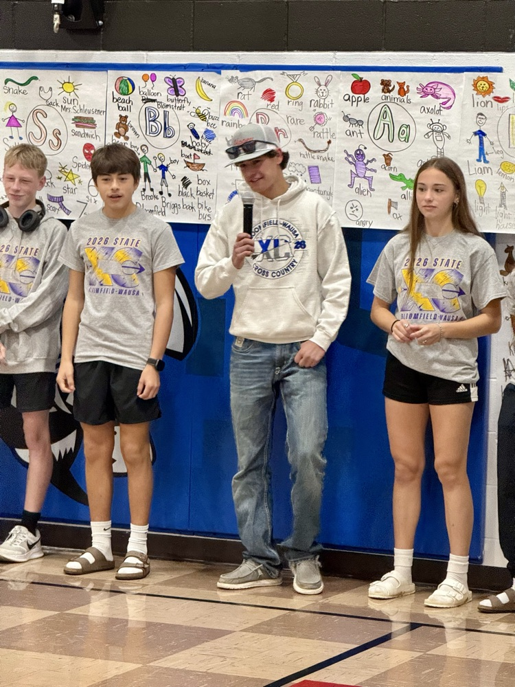 state XC runners 