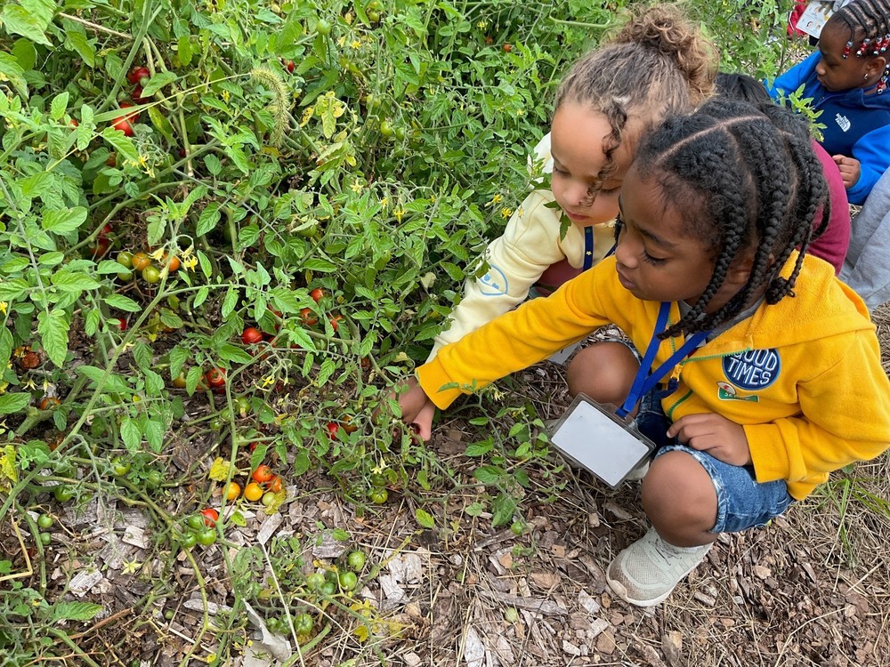 Students at farm