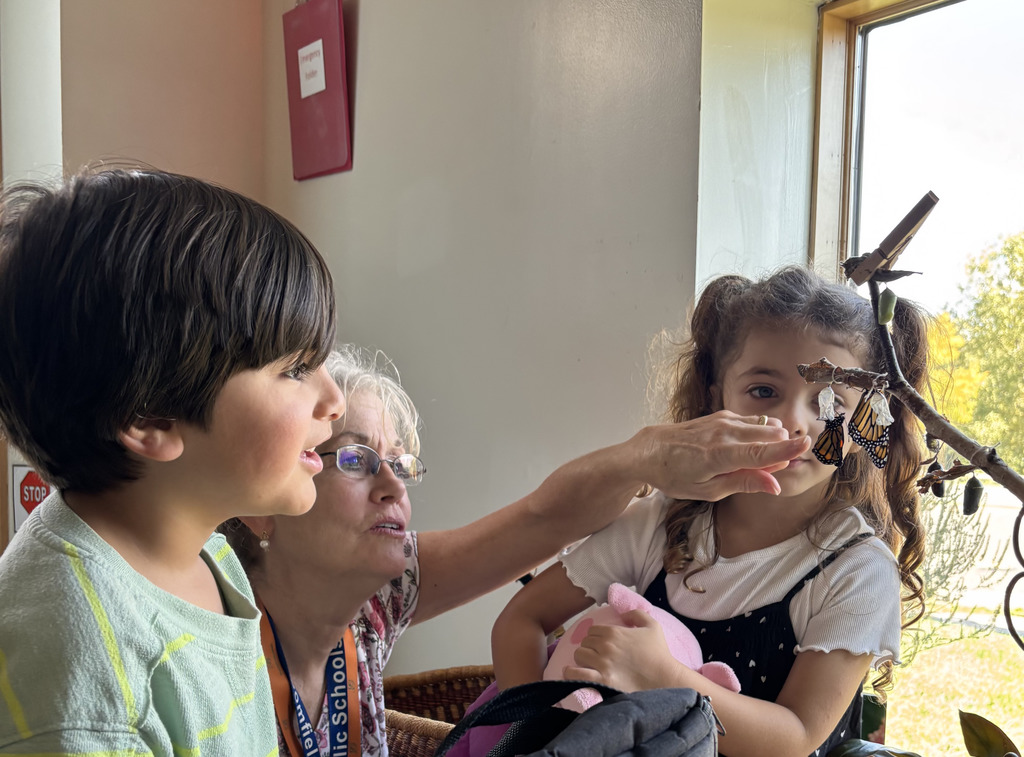 Teacher and two young children watching a butterfly emerge from a chrysalis.