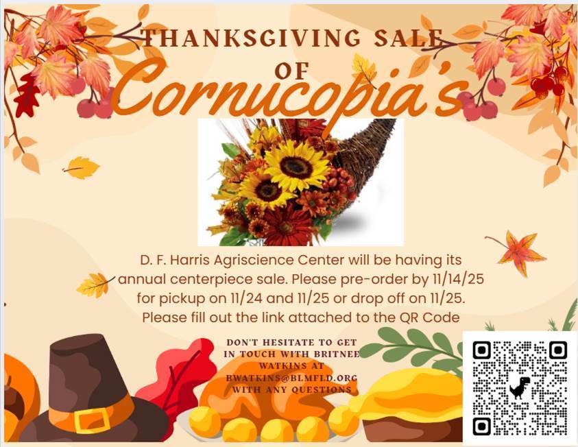 Cornucopias For Sale