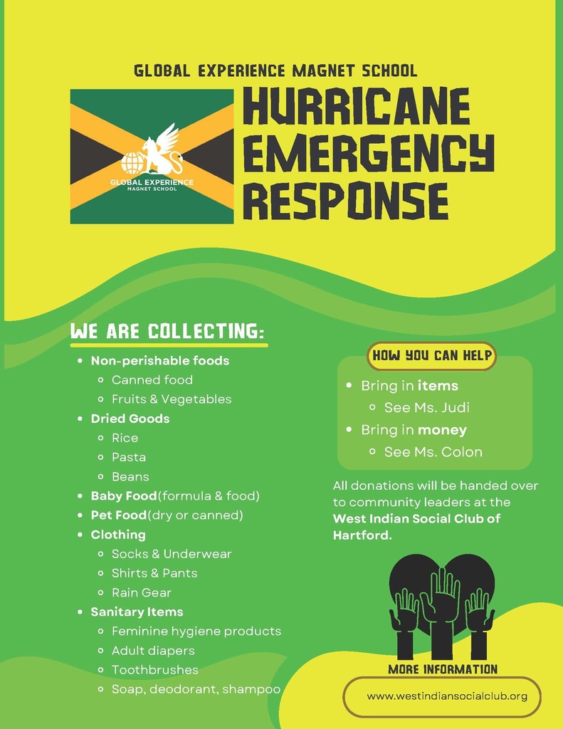 Hurricane Emergency Response Flyer