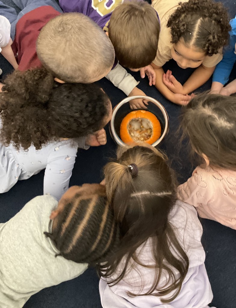 Group of students looking at a decomposing pumpkin.
