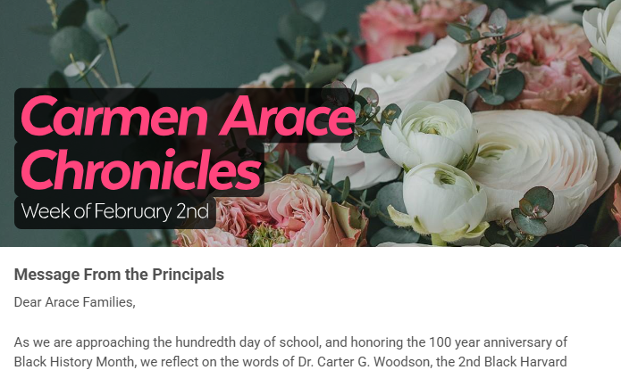 Screenshot of the chronicles