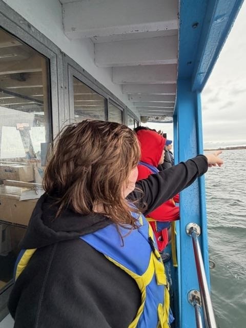 Students looking for seals