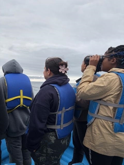 Students looking for seals
