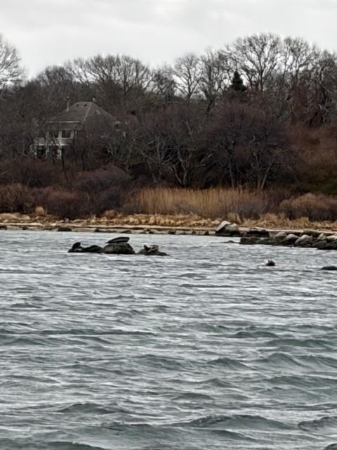 Seals