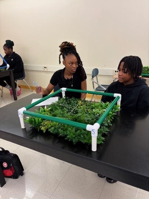 Students taking notes on plants